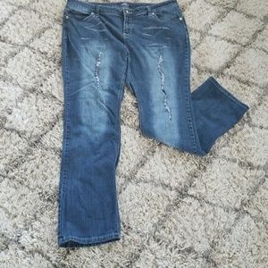 YMI Jeans